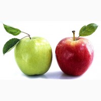 Оптом яблука Гала за вигідними цінами