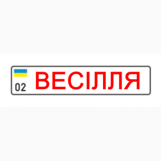 Автономера на коляску, свадьбу, именные, vip. Любые авто номерные знаки Винница