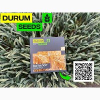 Насіння пшениці Durum Seeds. Сорт БГ Дуріамо 2С (тверда) - Оригінатор Biogranum (Сербія)