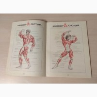 Книга Джо Вейдер Система строительства тела