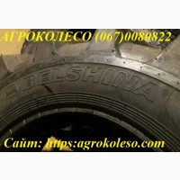 Шини 360/70R24 БЕЛ-89 122А8 ТТ Белшина