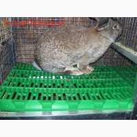 Пластиковый настил для кроликов