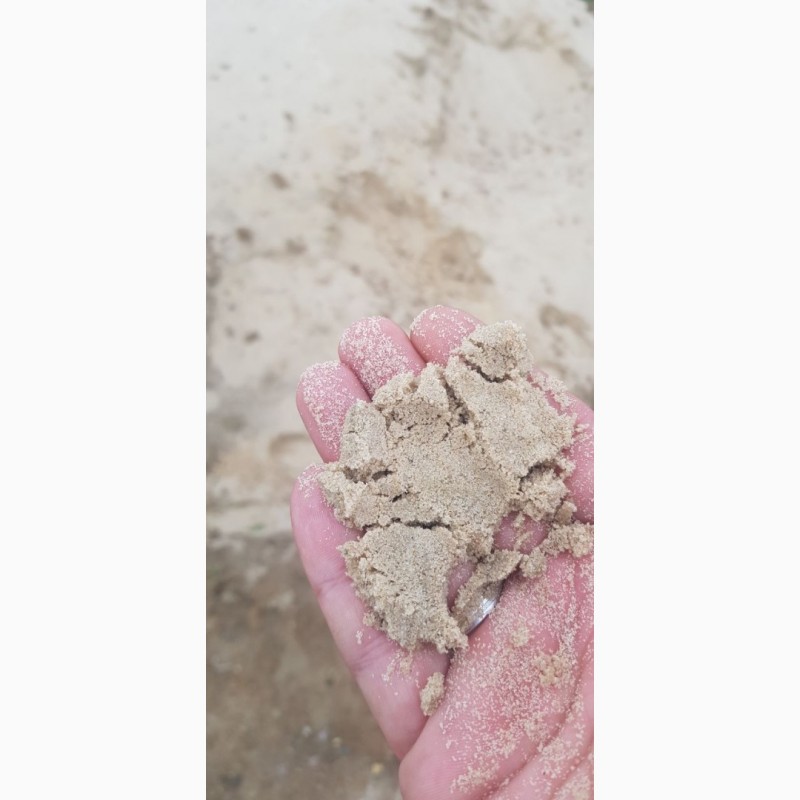 Фото 3. Речной Песок. Овражный песок. Втор песок. Супесь. Буча. Гостомель. Ирпень