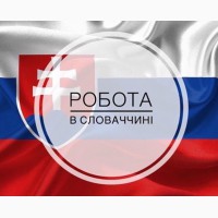 Работа в Словакии по биометрии и на ВНЖ. Без предоплаты в Украине