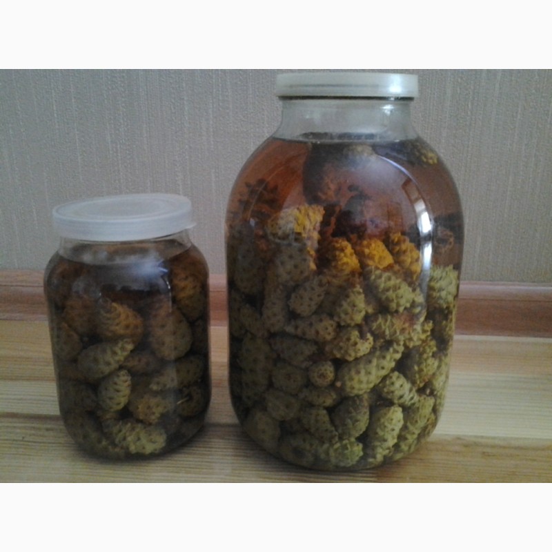 Фото 8. Березовый гриб чага, гриб веселка, сосновые шишки от инсульта