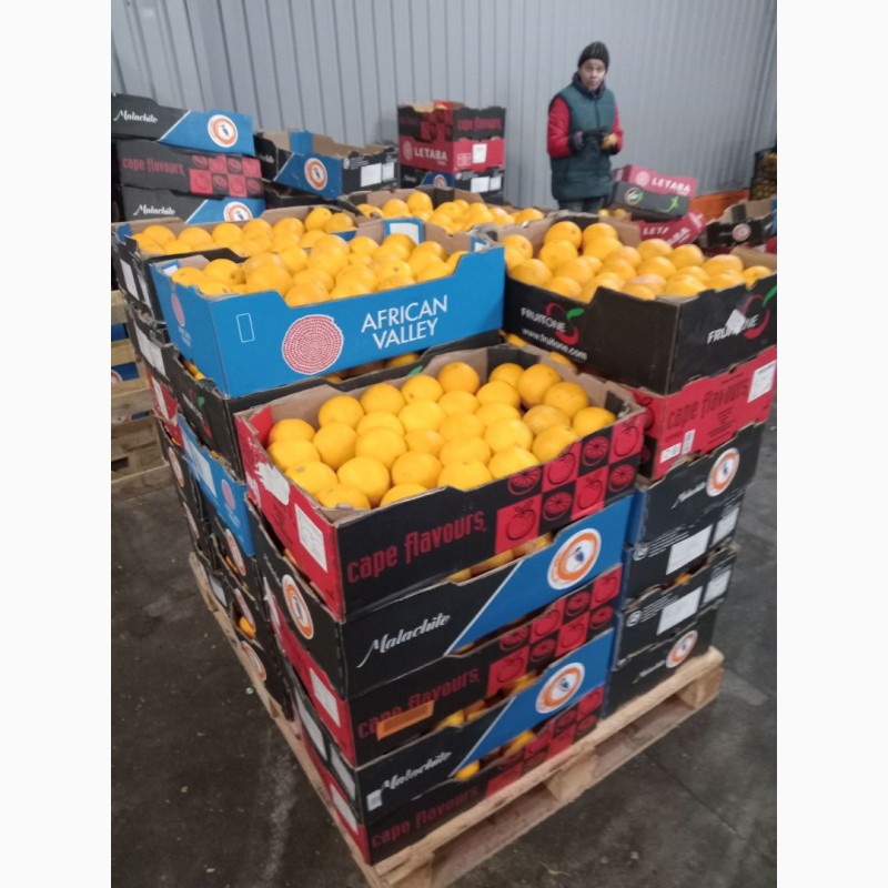 Фото 4. Гурт продаж фрукти овочі ціни опт фрукты овощи апельсин лимон мандарин, Вишневе