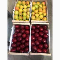 Продам яблука експортної якості є обєм, ціна договірна Вінницька обл.м.Немирів