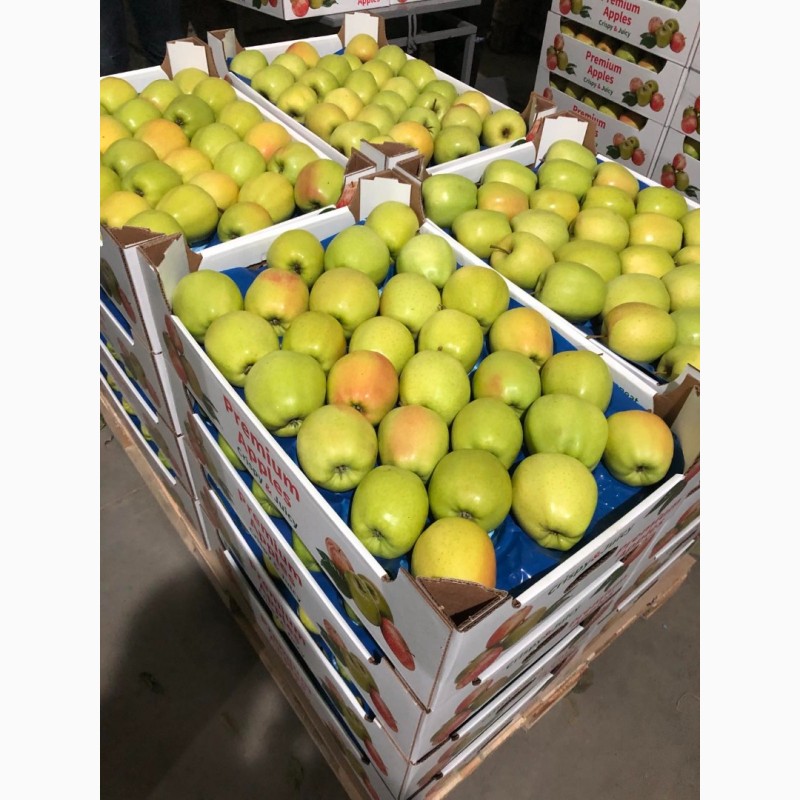 Фото 2. Продам яблука експортної якості є обєм, ціна договірна Вінницька обл.м.Немирів