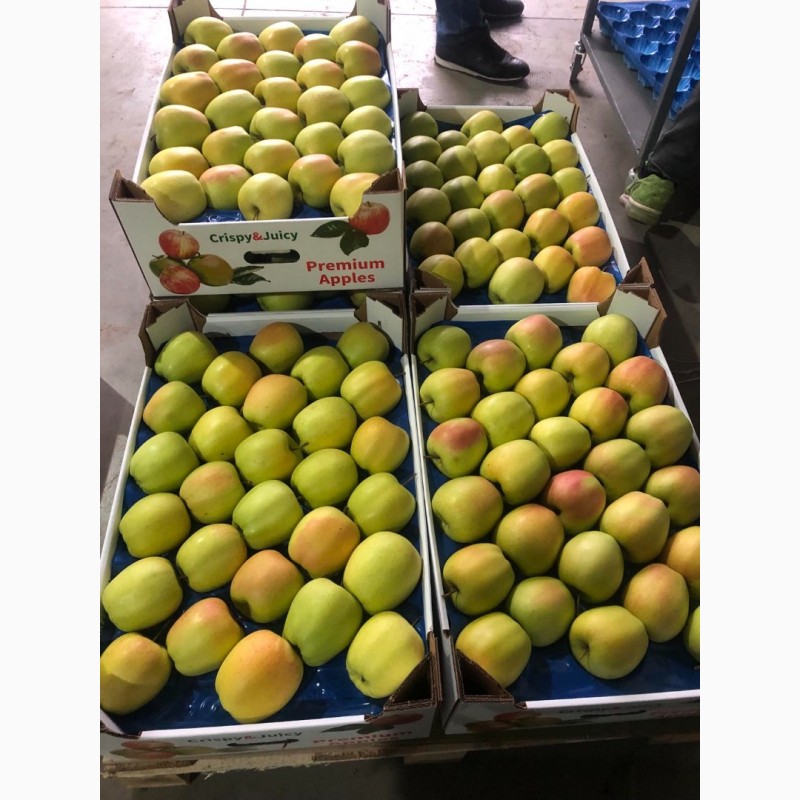 Фото 3. Продам яблука експортної якості є обєм, ціна договірна Вінницька обл.м.Немирів