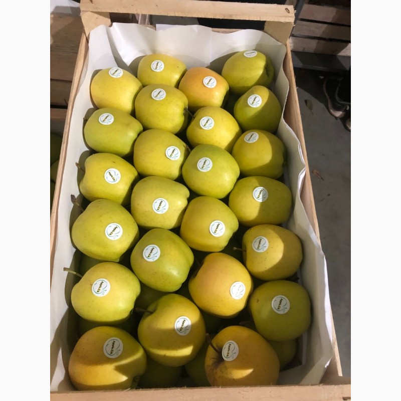 Фото 4. Продам яблука експортної якості є обєм, ціна договірна Вінницька обл.м.Немирів