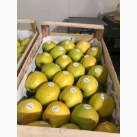 Продам яблука експортної якості є обєм, ціна договірна Вінницька обл.м.Немирів