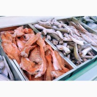 Холодильные камеры для рыбы и морепродуктов Алькантар ООО