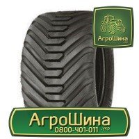 710/70r42 michelin ≡ СЕЛЬХОЗ ШИНЫ ≡ Агрошина.укр