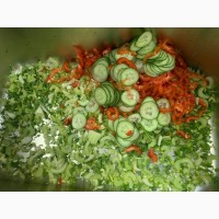 Машина для шаткування зелені та нарізки слайсом овочів та фруктів STvega Belt Cutter H150