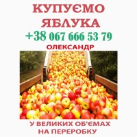 Закуповуємо яблоко на сік ЦІНА 11, 20 грн плюс ПДВ На переробку