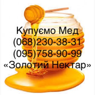 Купим оптом мед Каменское (Днепродзержинск)
