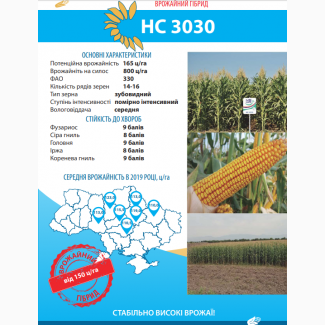 Hacіння Kукуpудзи HC 3030 (ФAO 330), Юг Aгpoлідep - Cepбcькa ceлeкція (Hoви Caд)