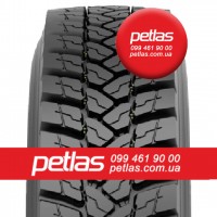 Агро сільгосп шини 265/70 R19.5 PETLAS SH100 (РУЛЬОВА) 140/138