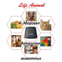 Лечение домашних животных Life Animal. Удобно и эффективно. Акция: кешбэк 10%