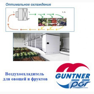 Охладитель для овощей и фруктов GUNTNER