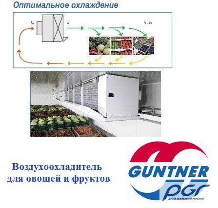 Охладитель для овощей и фруктов GUNTNER