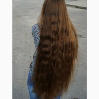 Скупка волос в Харькове, также по всей Украине от 40 см до 100000 грн
