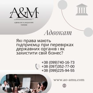 Які права мають підприємці при перевірках державних органів і як захистити свій бізнес