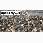 Дубові дрова замовити купити в Луцьку Ківерцях Торчині