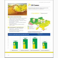 Насіння озимого ріпаку СІ Савео «Сингента» (Syngenta)