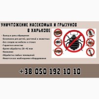 Уничтожение насекомых и грызунов в Харькове