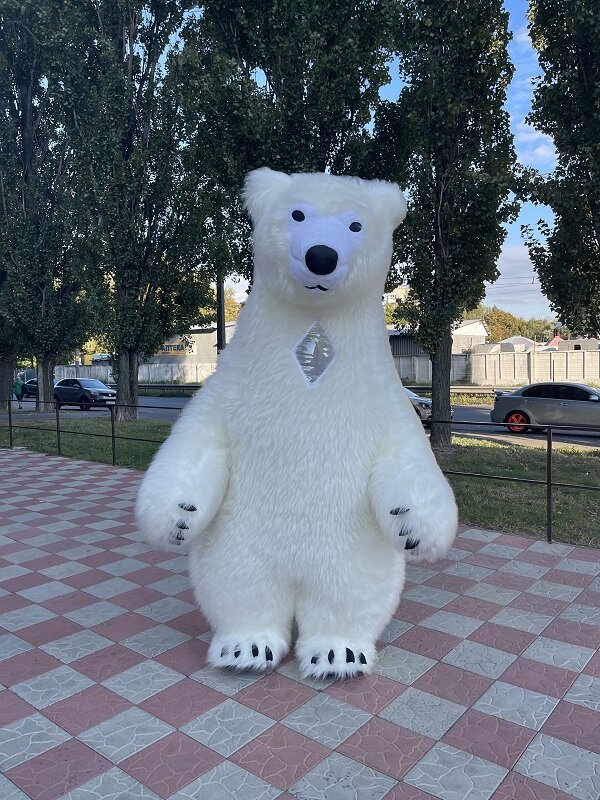 Фото 5. Начните продвижение с надувным костюмом белого медведя