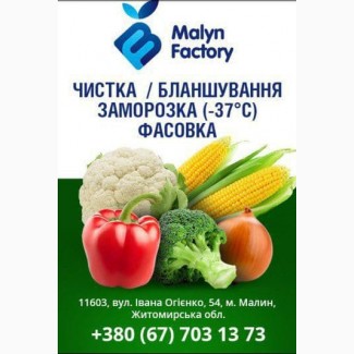 УСЛУГИ: Фасовка Жидких Продуктов в Пакетики типа Саше ёмкостью по 40г – 100г