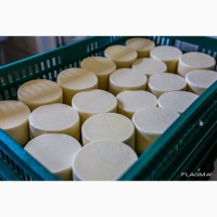 Продам действующий бизнес по производству сыра, молочной продукции
