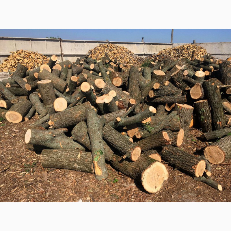 Фото 11. Продам в больших количествах дрова твердых пород (дуб, ясень, акация), фруктовые дрова