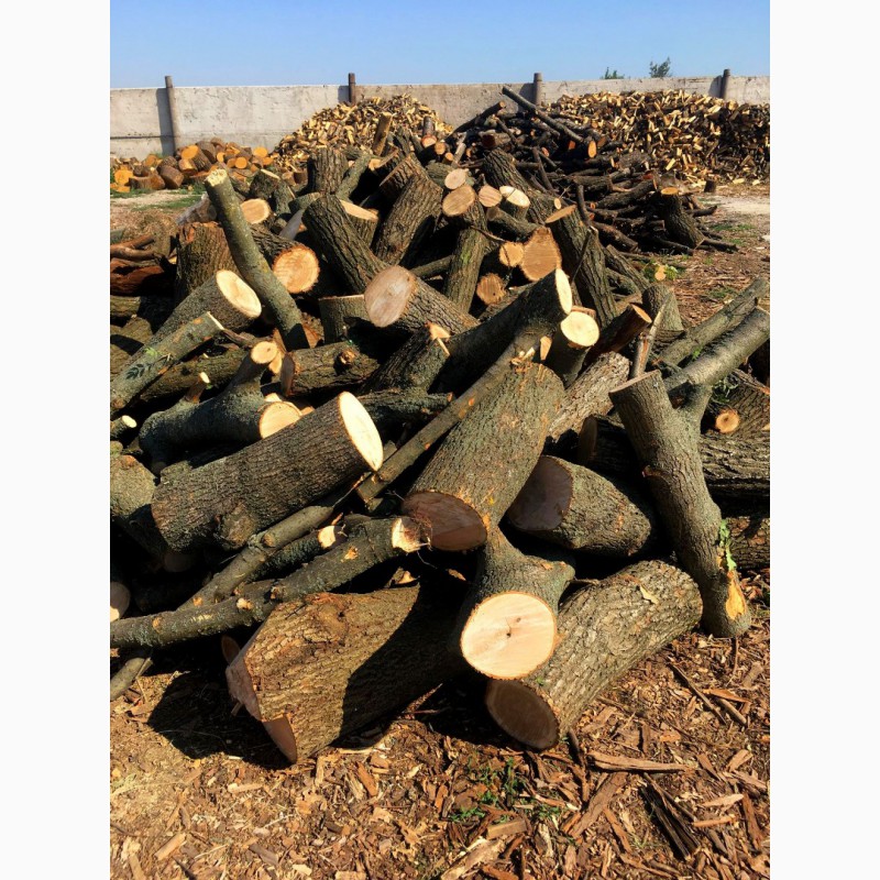Фото 12. Продам в больших количествах дрова твердых пород (дуб, ясень, акация), фруктовые дрова