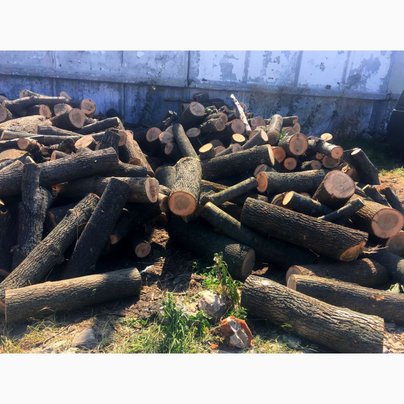 Фото 14. Продам в больших количествах дрова твердых пород (дуб, ясень, акация), фруктовые дрова