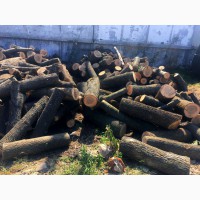 Продам в больших количествах дрова твердых пород (дуб, ясень, акация), фруктовые дрова