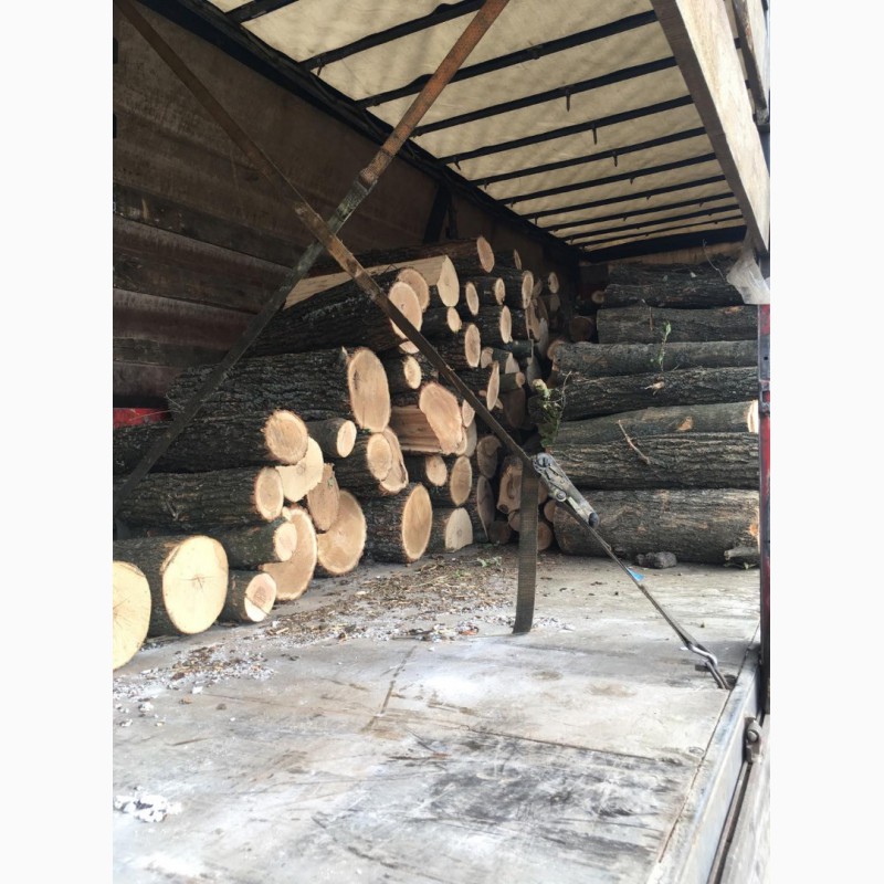 Фото 17. Продам в больших количествах дрова твердых пород (дуб, ясень, акация), фруктовые дрова