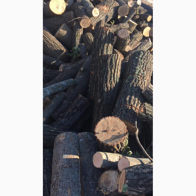Фото 18. Продам в больших количествах дрова твердых пород (дуб, ясень, акация), фруктовые дрова