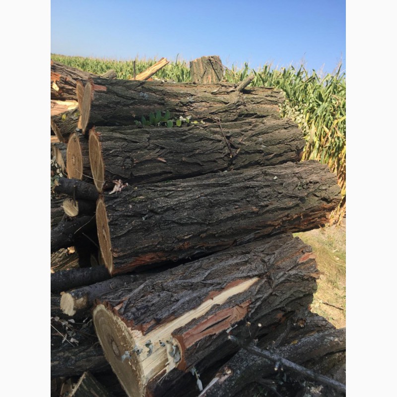 Фото 19. Продам в больших количествах дрова твердых пород (дуб, ясень, акация), фруктовые дрова