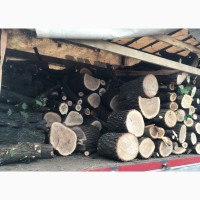 Продам в больших количествах дрова твердых пород (дуб, ясень, акация), фруктовые дрова