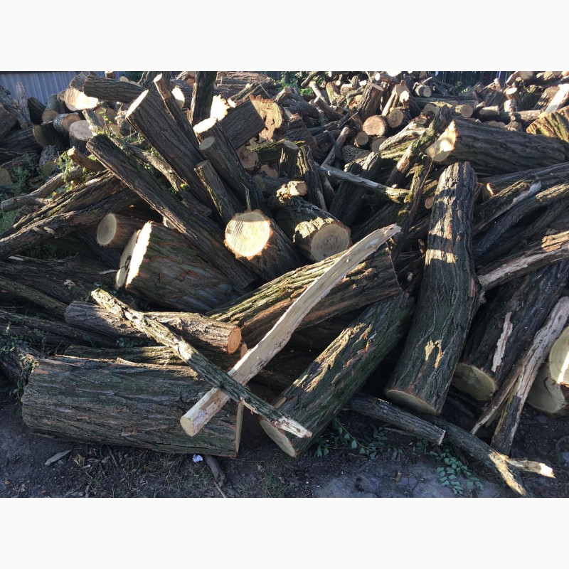 Фото 5. Продам в больших количествах дрова твердых пород (дуб, ясень, акация), фруктовые дрова