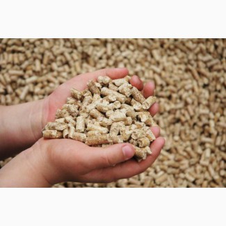 Пропонуємо висівки пшеничні гранульовані. Ціна 3200
