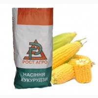 Семена кукурузы Сабин ФАО 230 Рост Агро