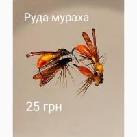 Мушки осы, жуки, комарики, мухи