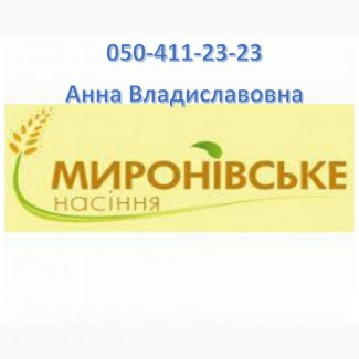Семена гречихи: сорт Украинка 1 репродукция/ элита