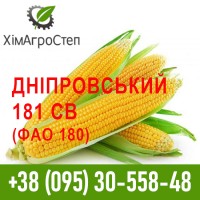 Насіння гібриду кукурудзи Дніпровський 181 СВ (ФАО 180)