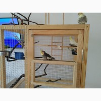 Изготовление клетки вольеры для декоративных птиц и др Ваших питомцев
