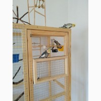 Изготовление клетки вольеры для декоративных птиц и др Ваших питомцев