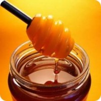 Закупаем Кориандровый мёд урожая 2021